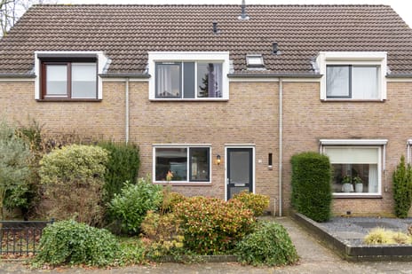 undefined main image