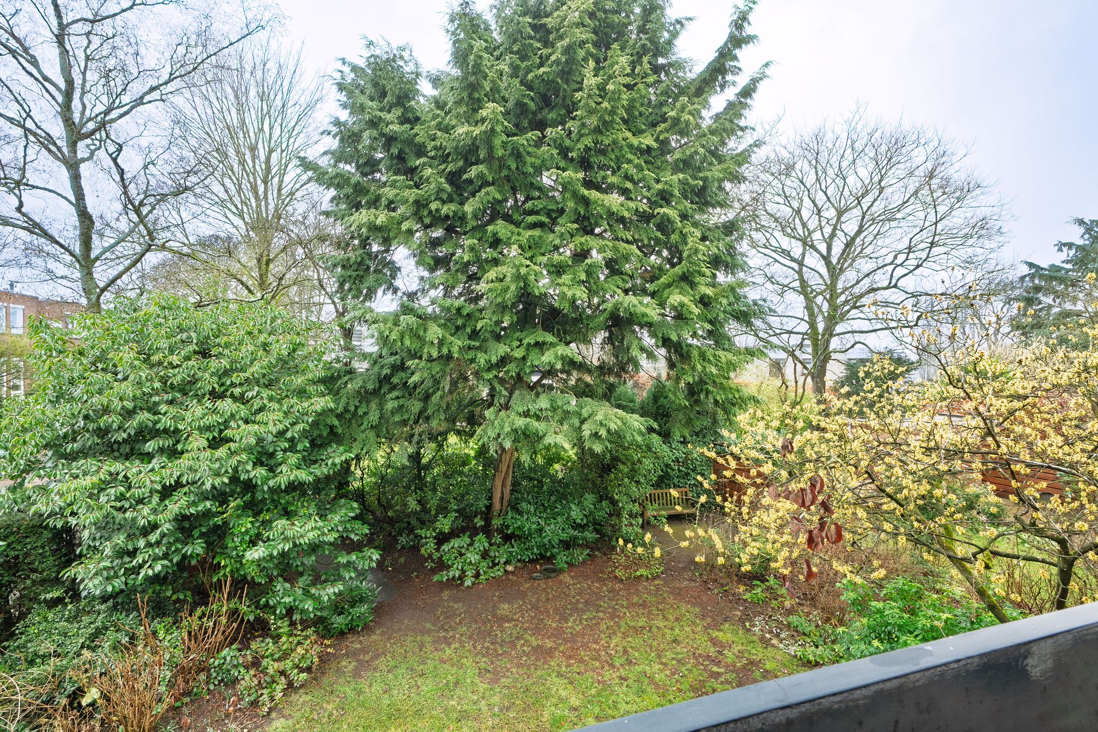 Foto 30 van Boeslaan 51