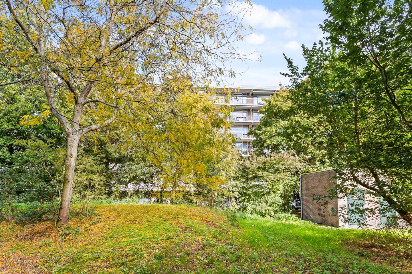 Photo 29 of Prins Frederiklaan 370