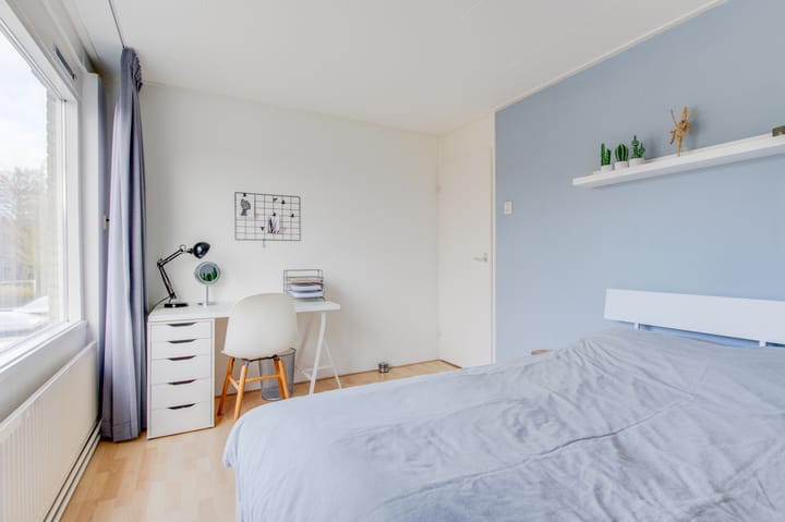 Photo 19 of Schouw 26