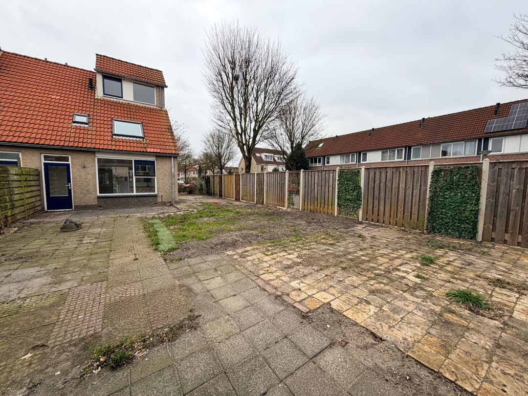 Photo 2 of Citroenvlinder 60