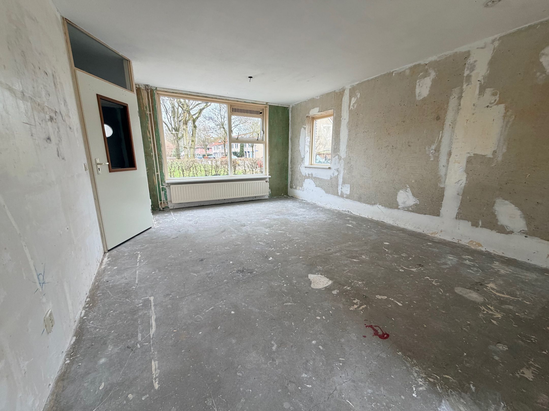 Photo 3 of Citroenvlinder 60