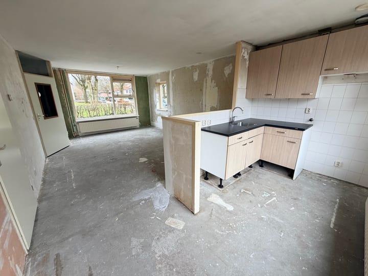 Foto 4 van Citroenvlinder 60