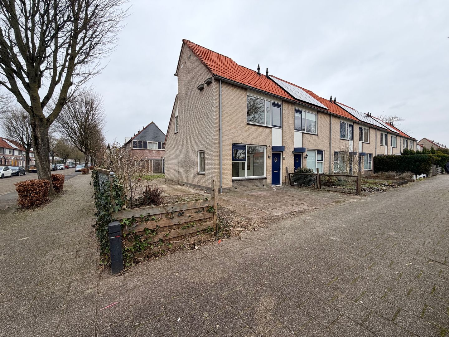 Photo 5 of Citroenvlinder 60