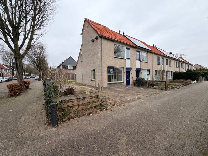 Foto 5 van Citroenvlinder 60