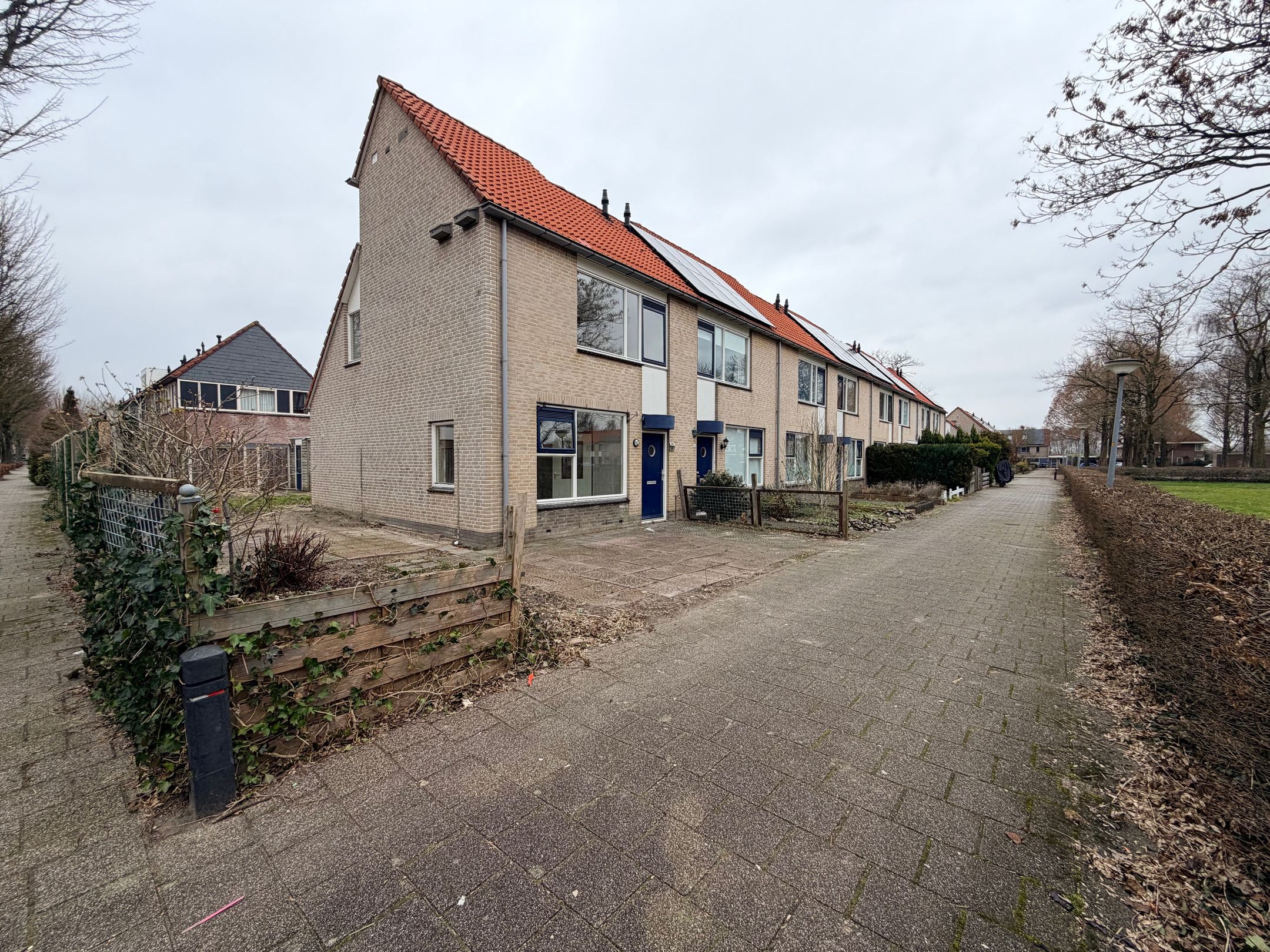 Photo 6 of Citroenvlinder 60