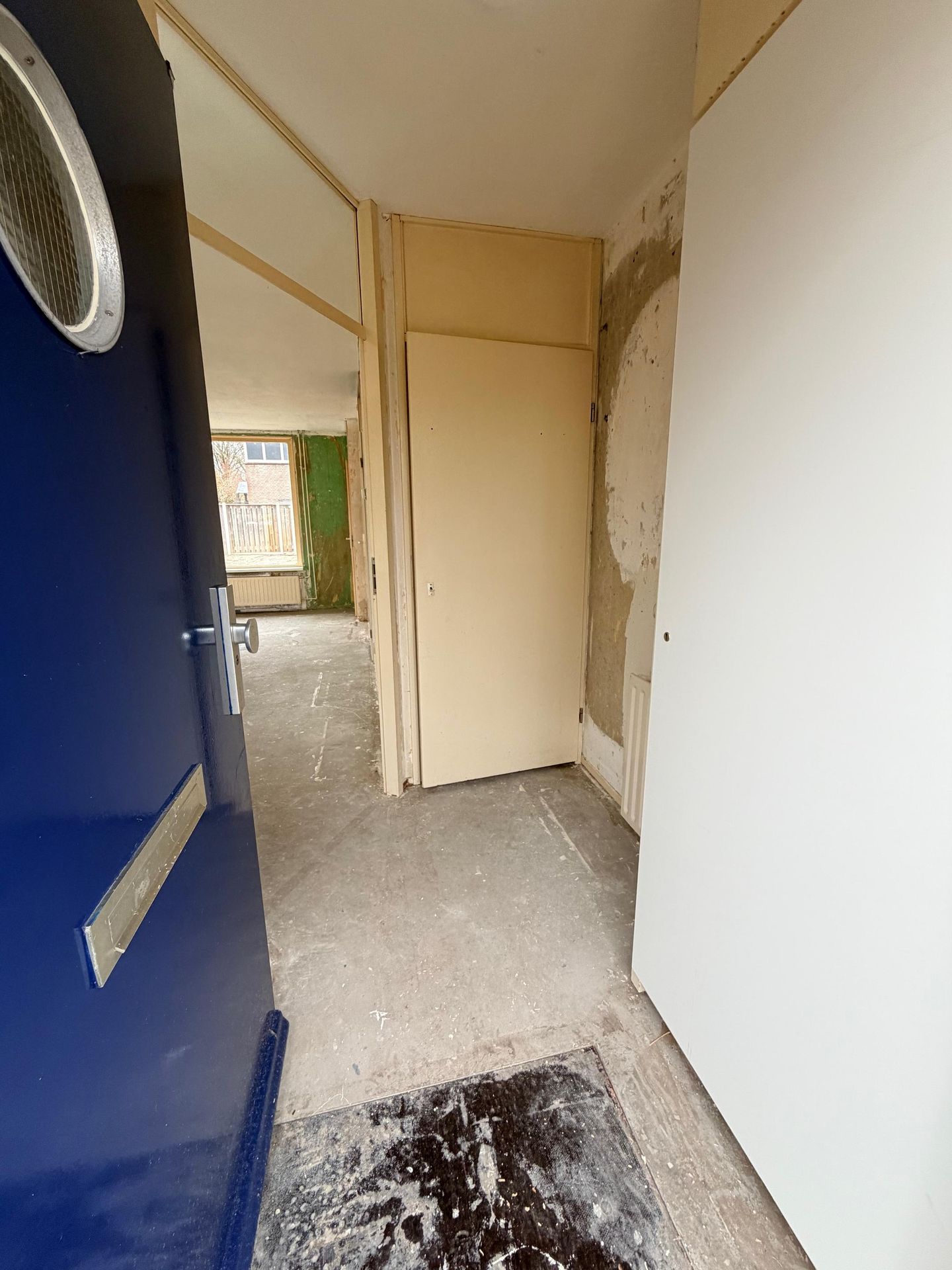 Photo 10 of Citroenvlinder 60