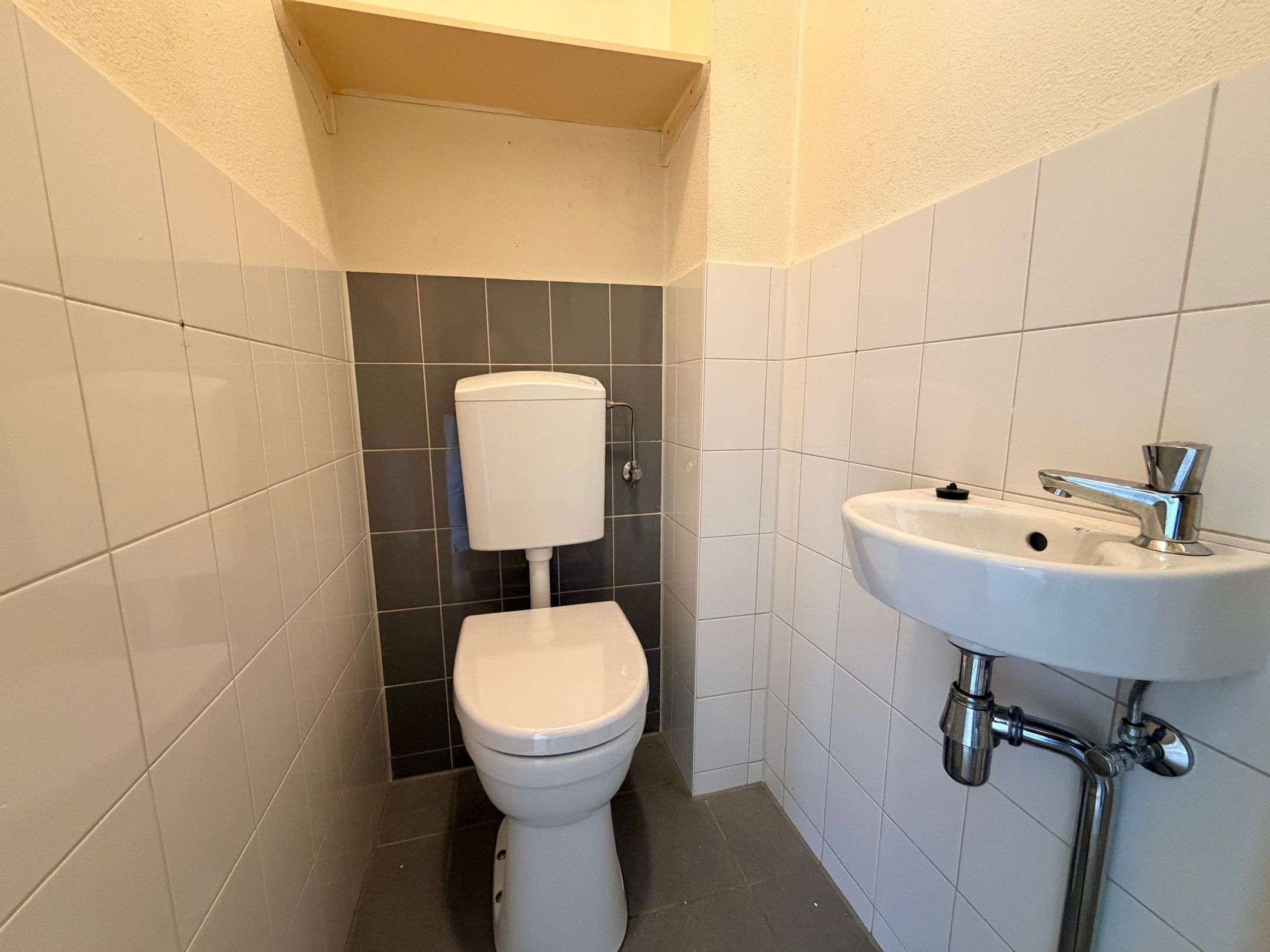 Photo 15 of Citroenvlinder 60