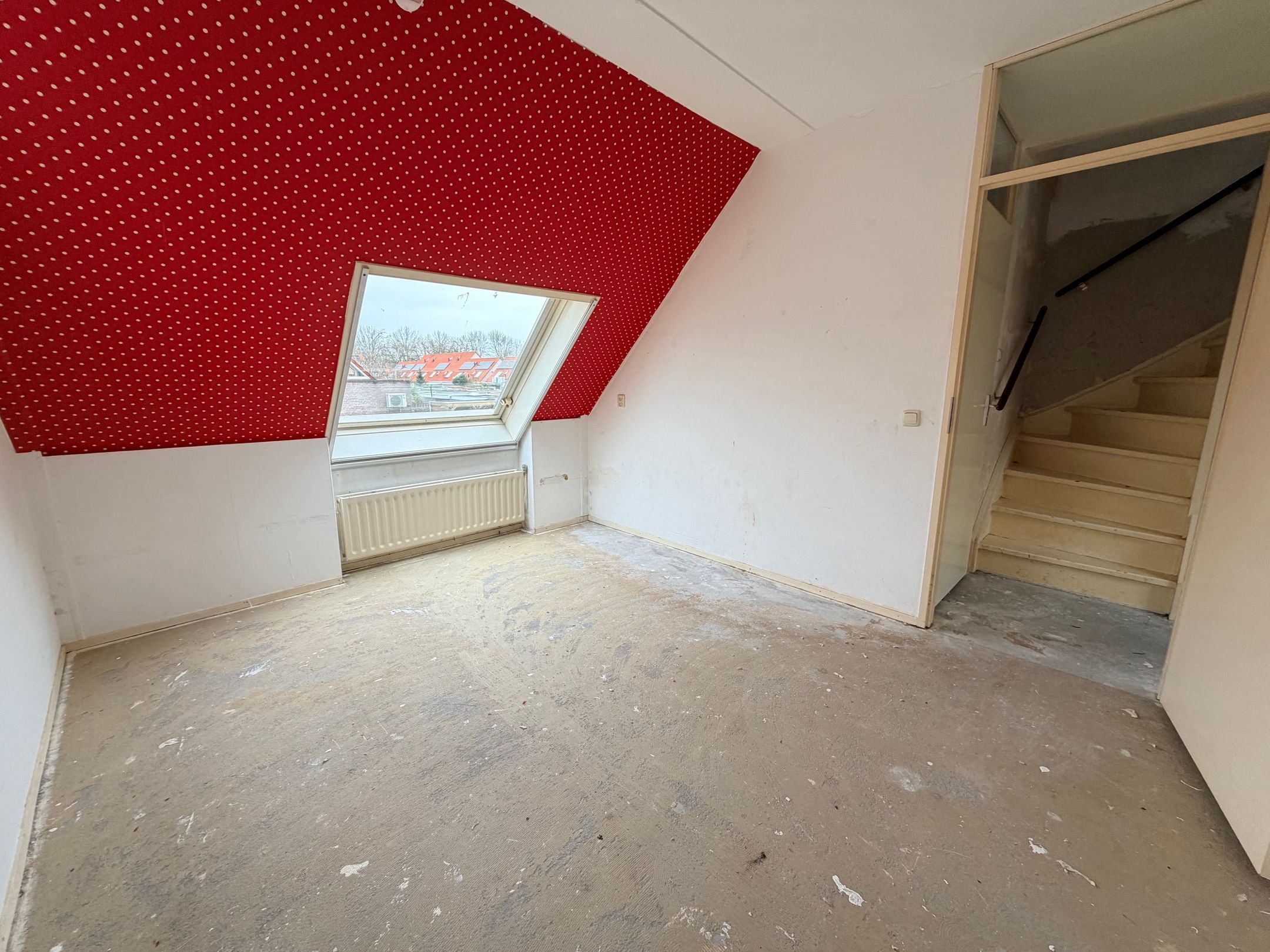 Photo 24 of Citroenvlinder 60