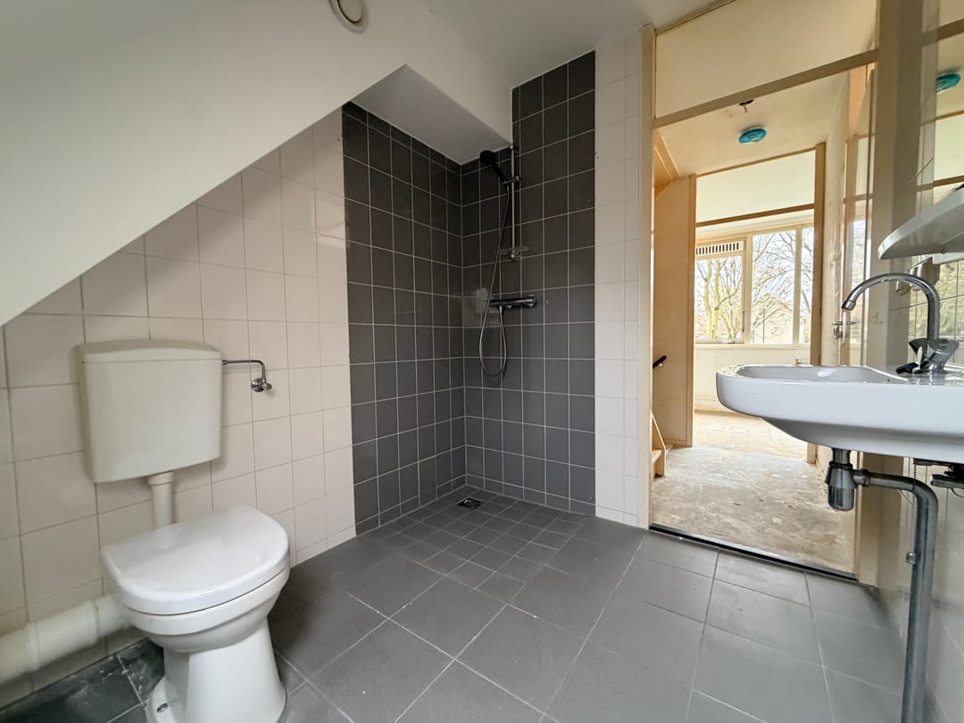 Photo 26 of Citroenvlinder 60