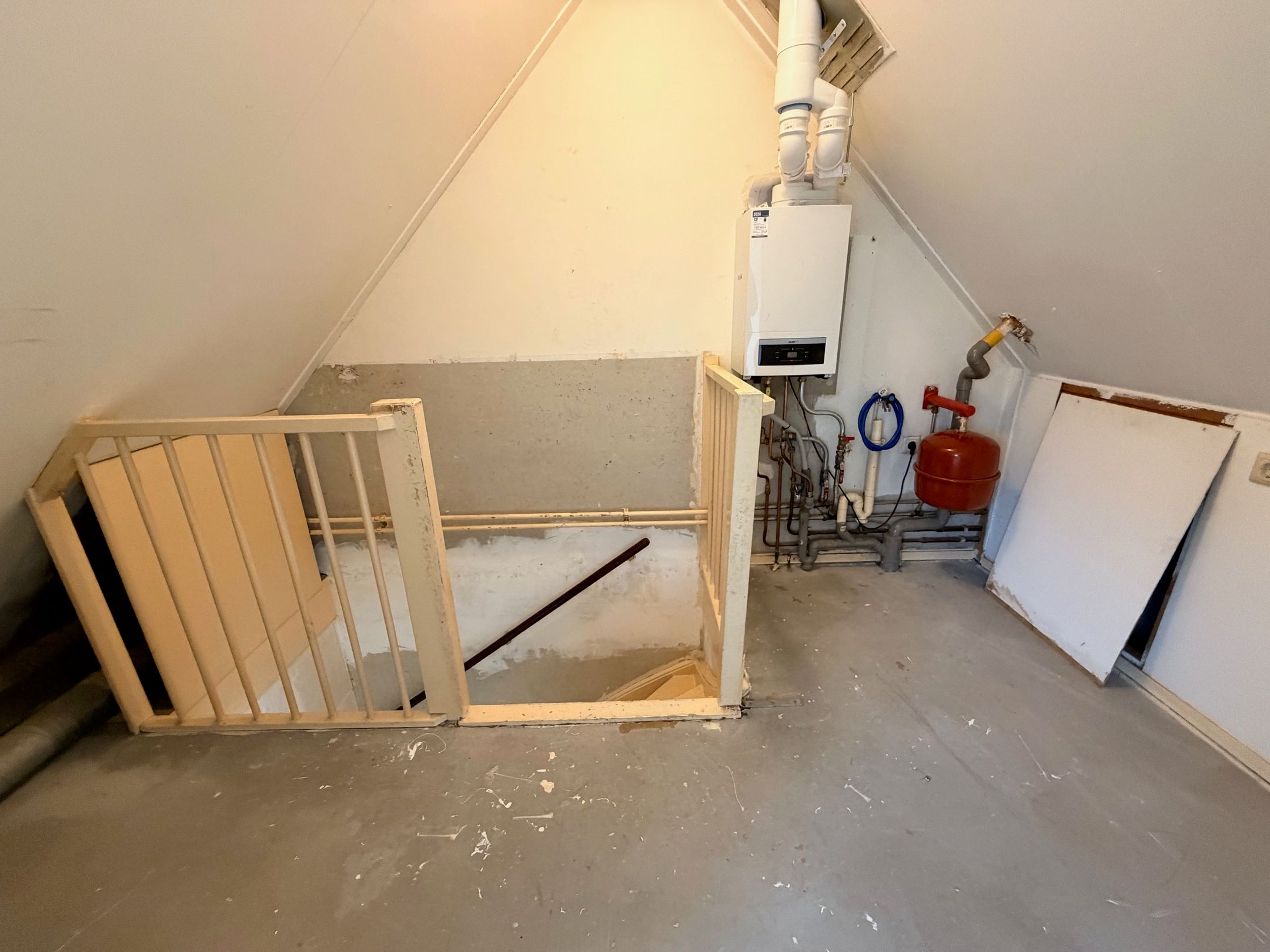 Photo 27 of Citroenvlinder 60