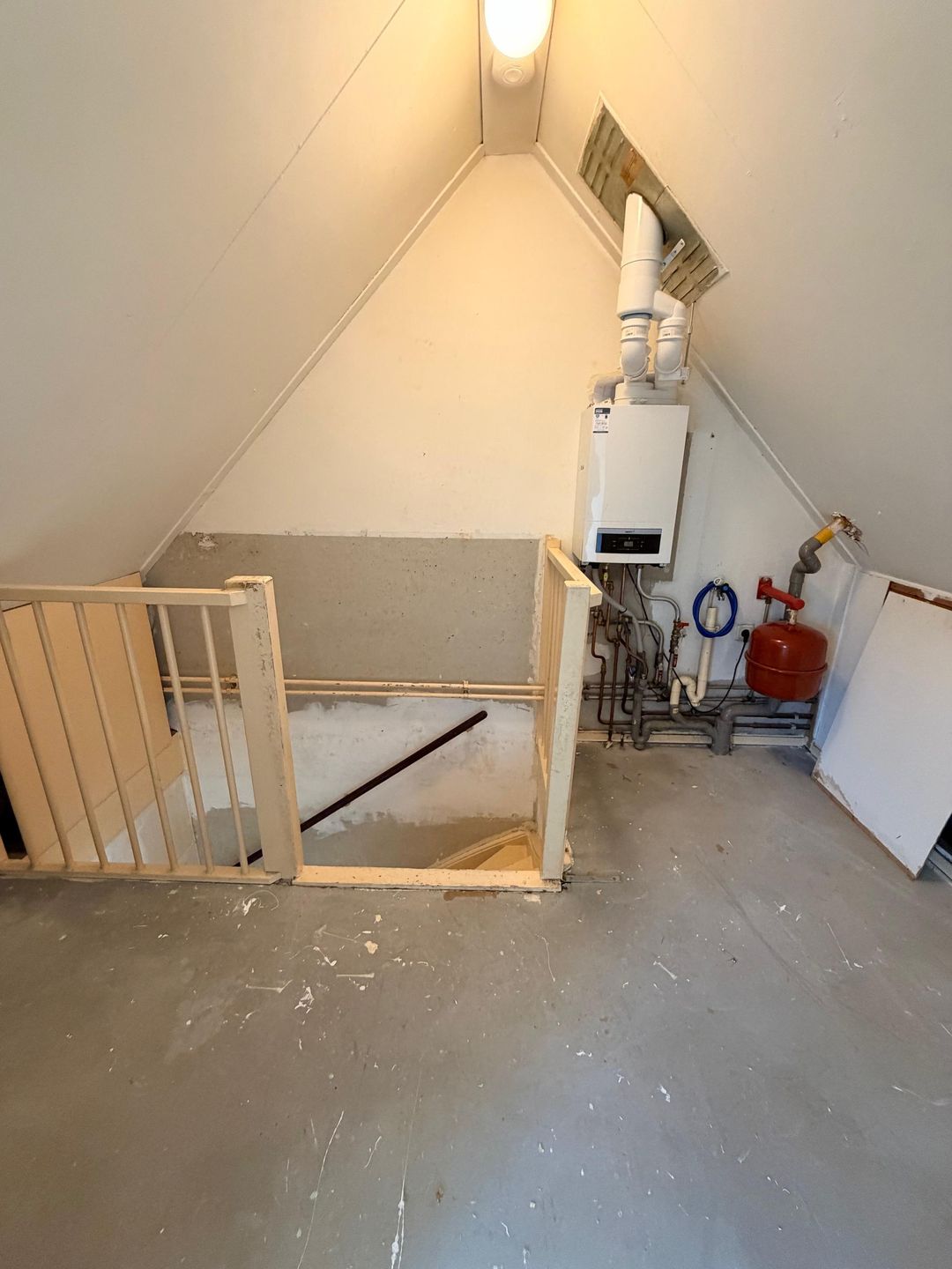 Photo 28 of Citroenvlinder 60