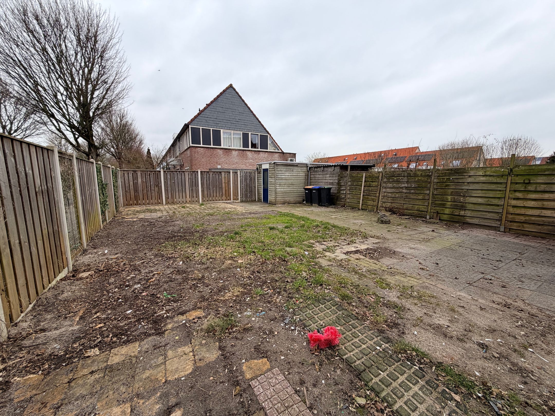 Photo 33 of Citroenvlinder 60