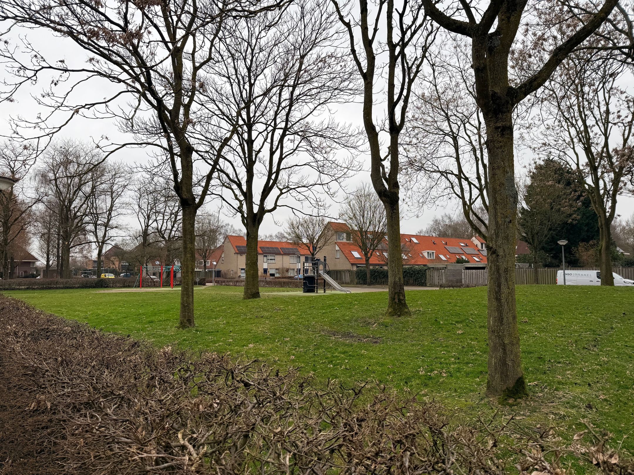 Photo 36 of Citroenvlinder 60