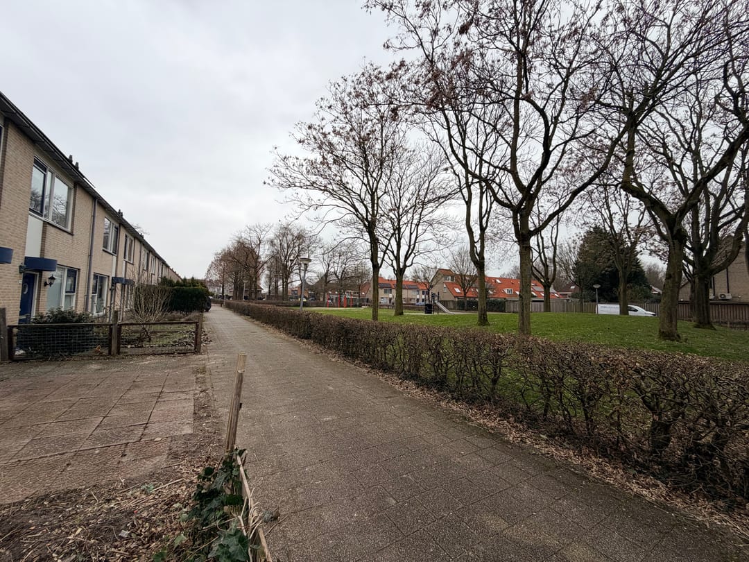 Photo 37 of Citroenvlinder 60