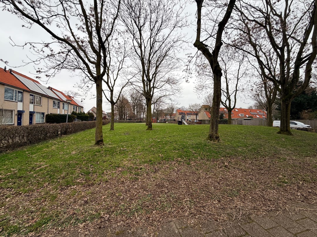 Photo 38 of Citroenvlinder 60