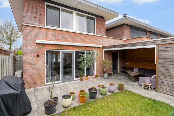 Foto 5 van Moerasandoorn 1