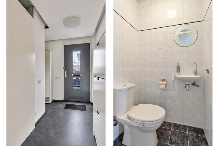 Foto 7 van Moerasandoorn 1