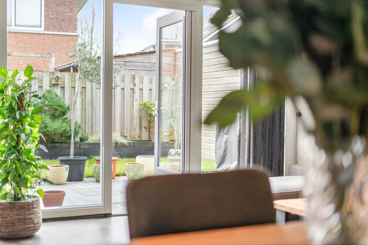 Foto 12 van Moerasandoorn 1