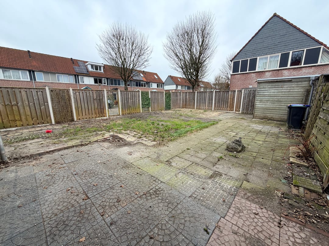 Photo 32 of Citroenvlinder 60