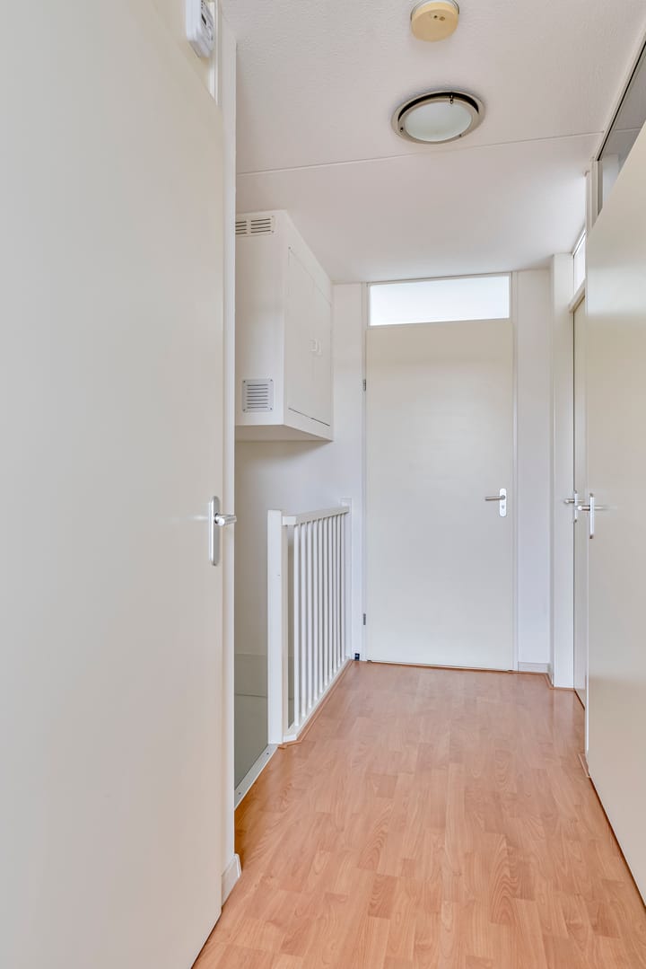 Foto 24 van Moerasandoorn 1