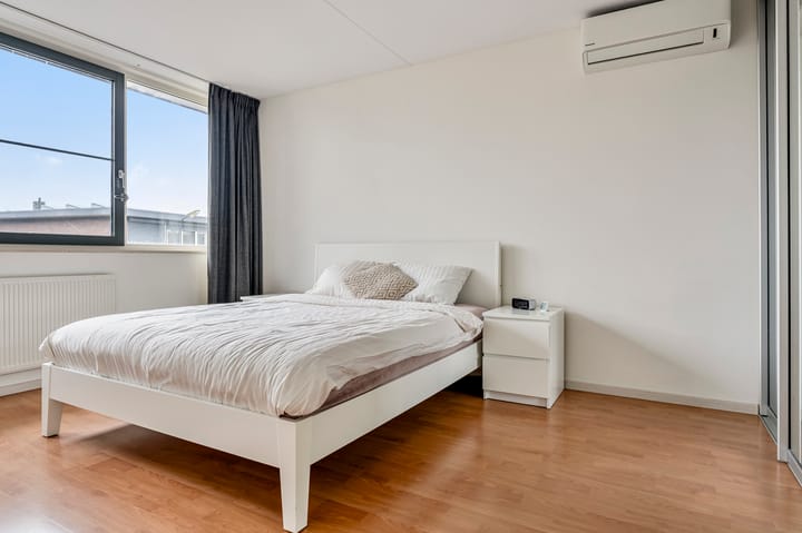 Foto 25 van Moerasandoorn 1