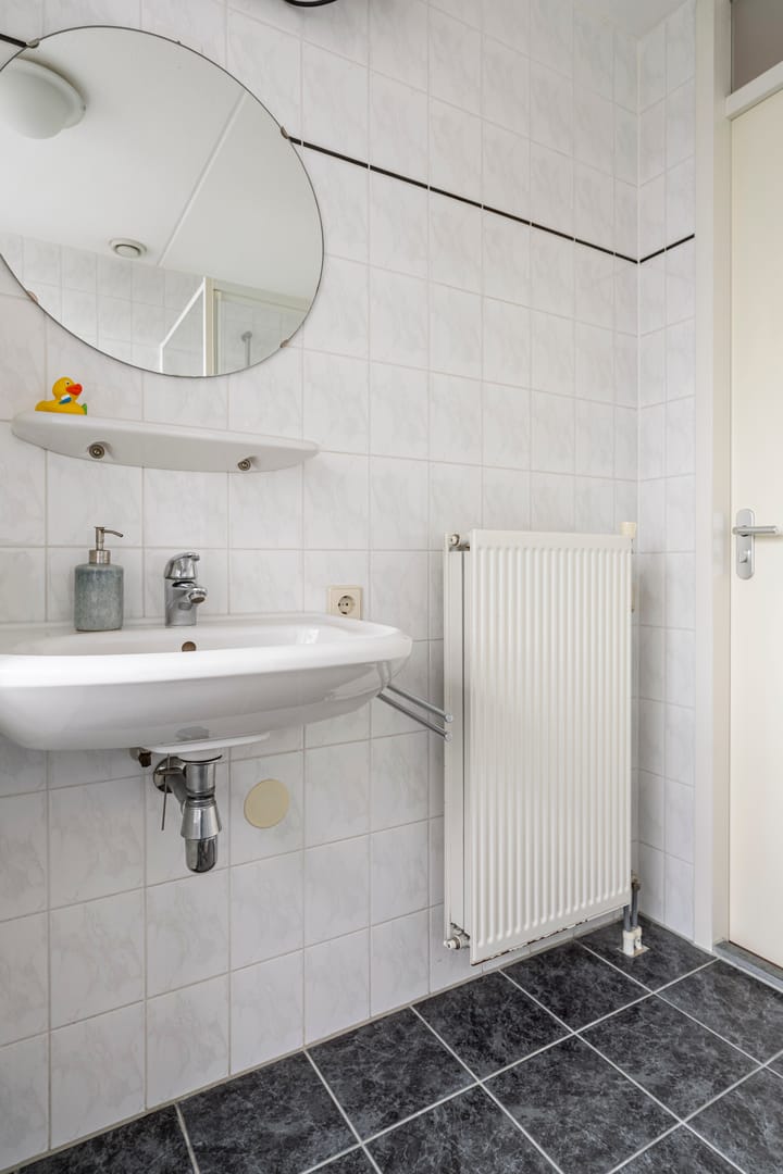 Foto 35 van Moerasandoorn 1