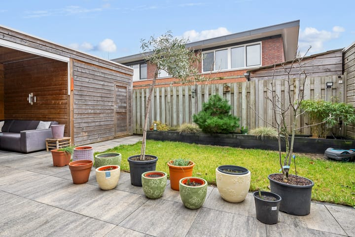 Foto 39 van Moerasandoorn 1