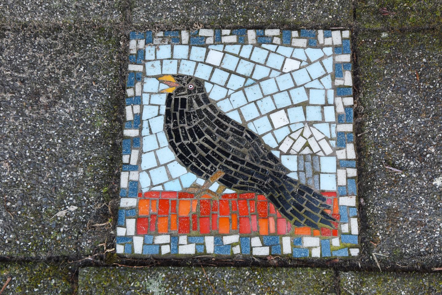 Foto 70 van Merellaan 4