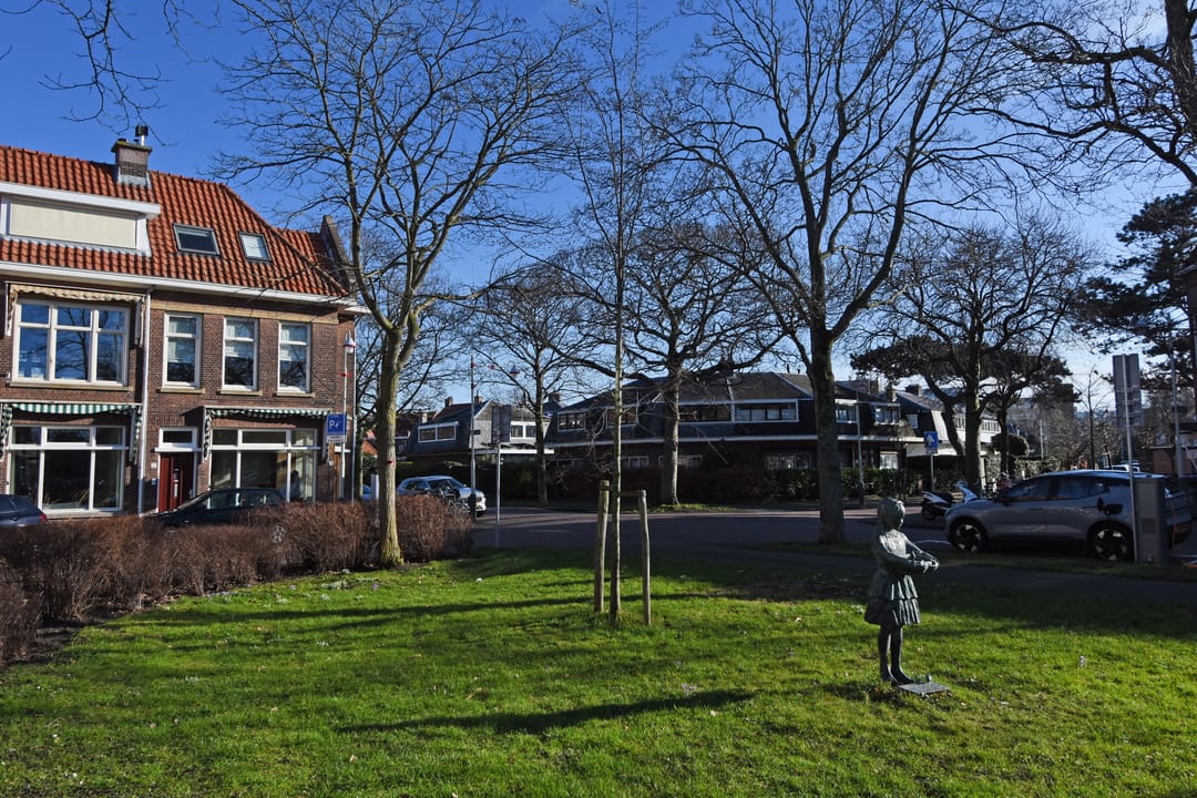 Foto 77 van Merellaan 4