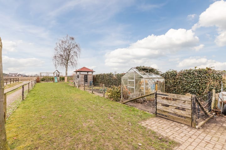 Foto 4 van Zwarte Paard 8