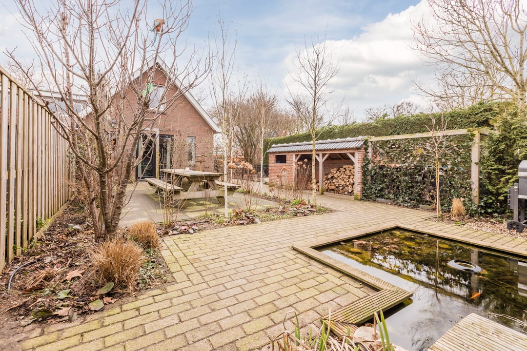 Foto 43 van Zwarte Paard 8