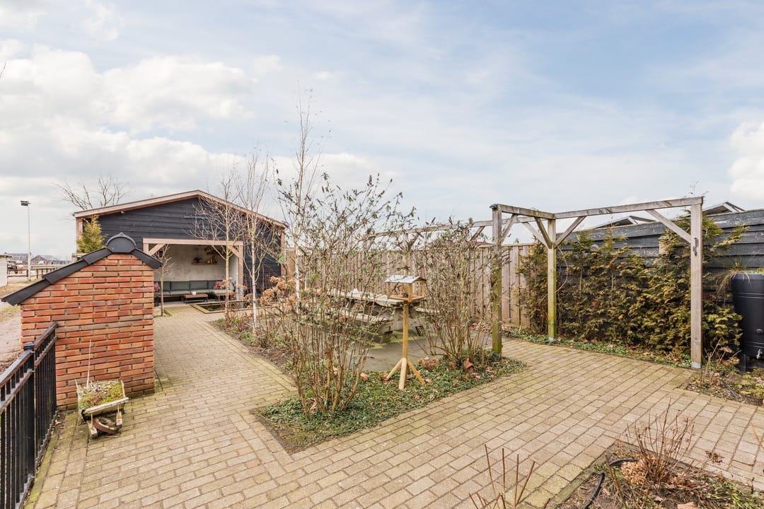 Foto 46 van Zwarte Paard 8