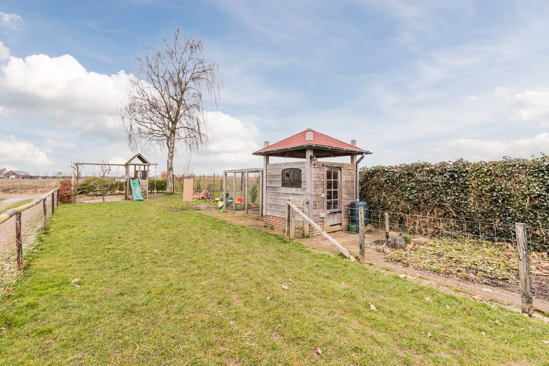 Foto 56 van Zwarte Paard 8