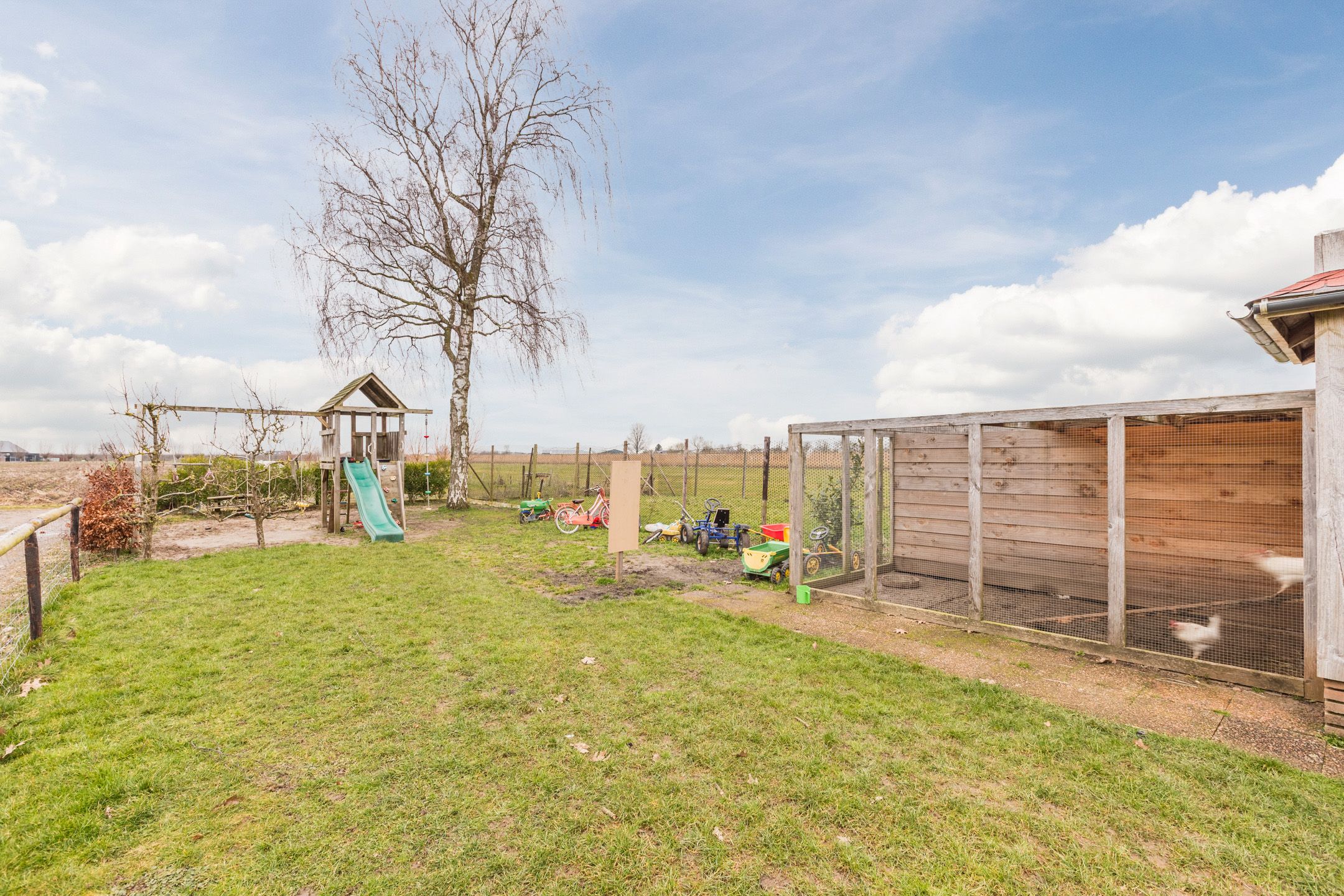 Foto 57 van Zwarte Paard 8