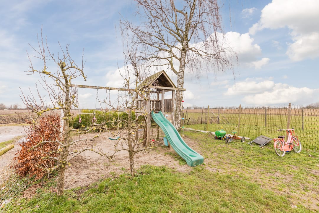 Foto 58 van Zwarte Paard 8