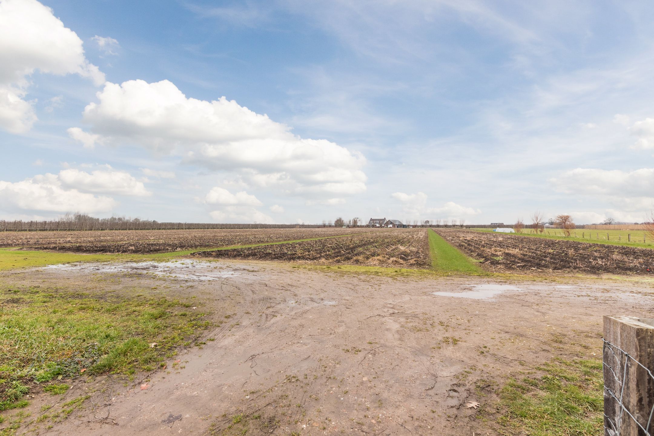 Foto 60 van Zwarte Paard 8