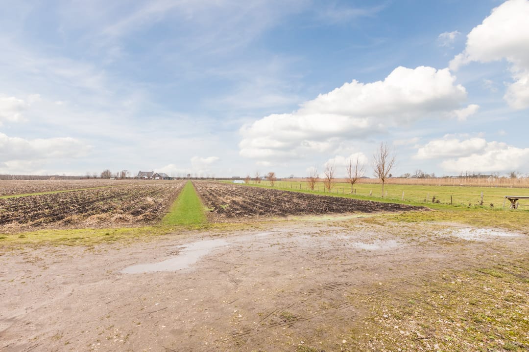 Foto 61 van Zwarte Paard 8