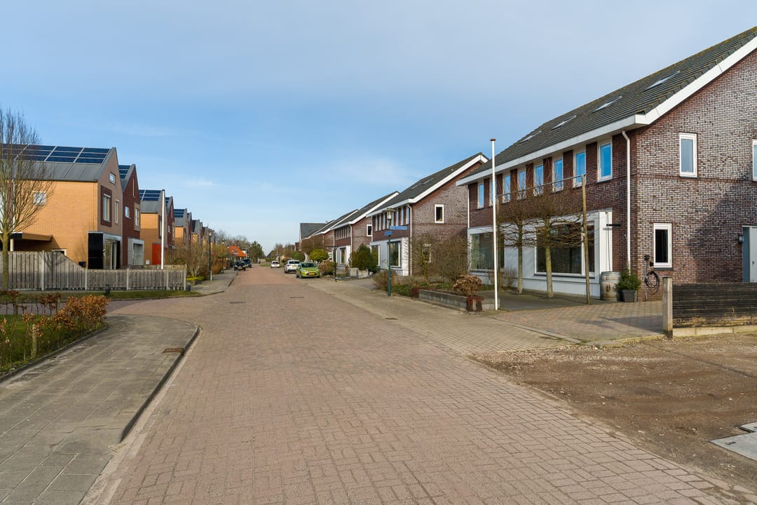 Foto 7 van De Pinksterblom 6
