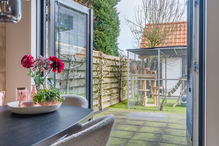 Foto 15 van De Pinksterblom 6