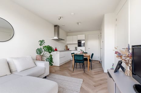 Willem Parelstraat thumbnail