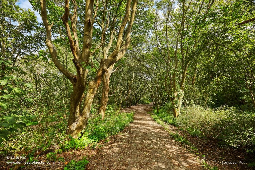 Foto 46 van Edisonstraat 78