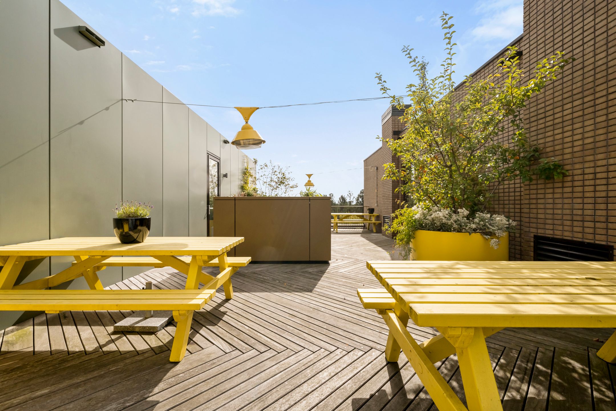 Foto 21 van Willem Parelstraat 272