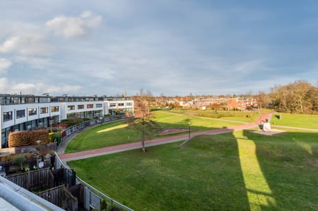 Fangorn 18 tertiary image