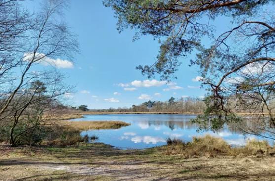 Foto 5 van Westerslag 24