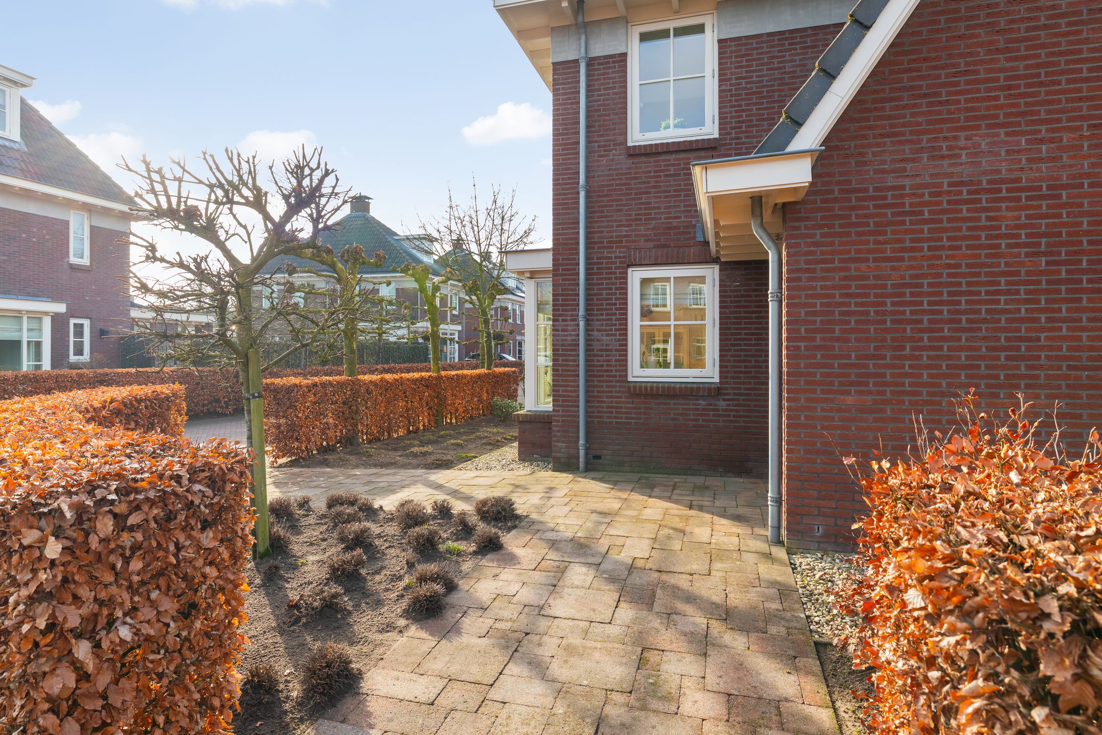 Foto 45 van Bonkelaar 2