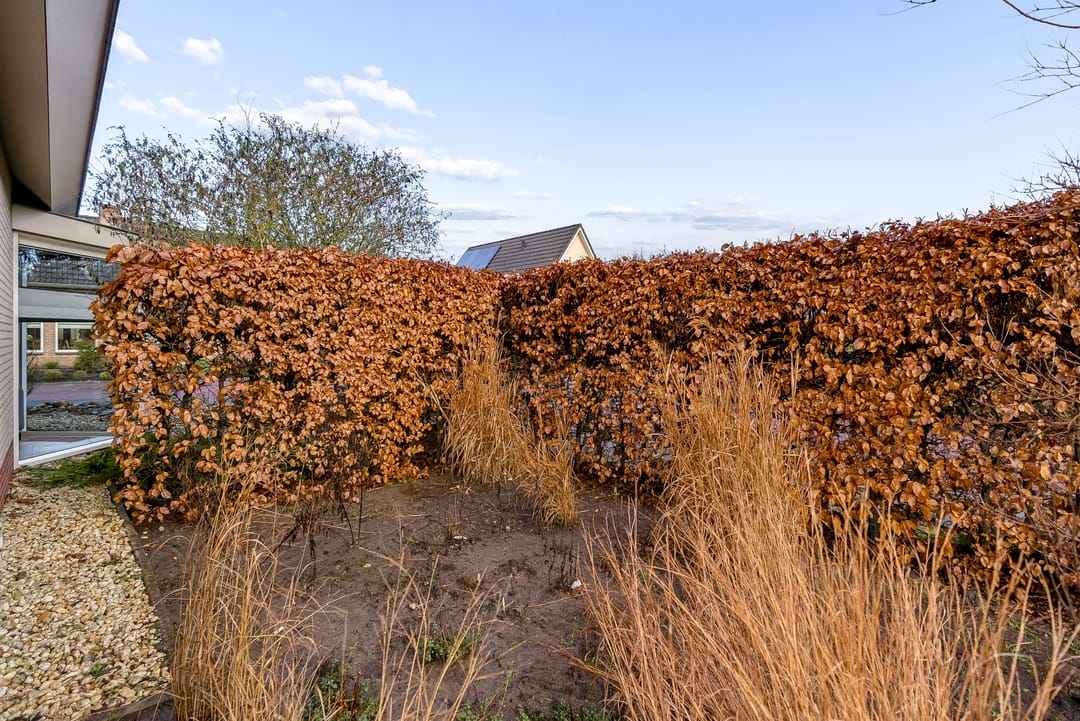 Foto 62 van Hasselt 26