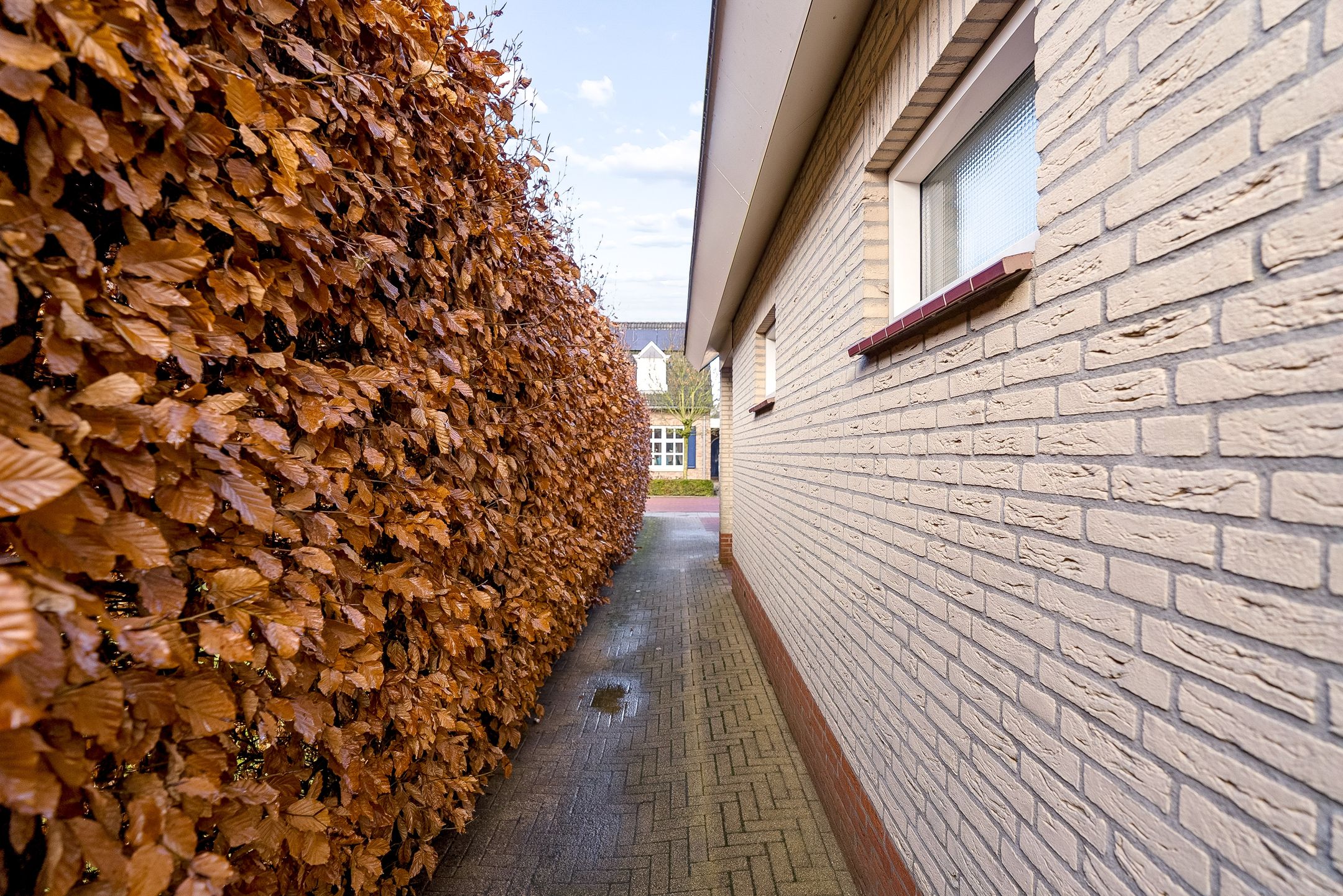 Foto 63 van Hasselt 26