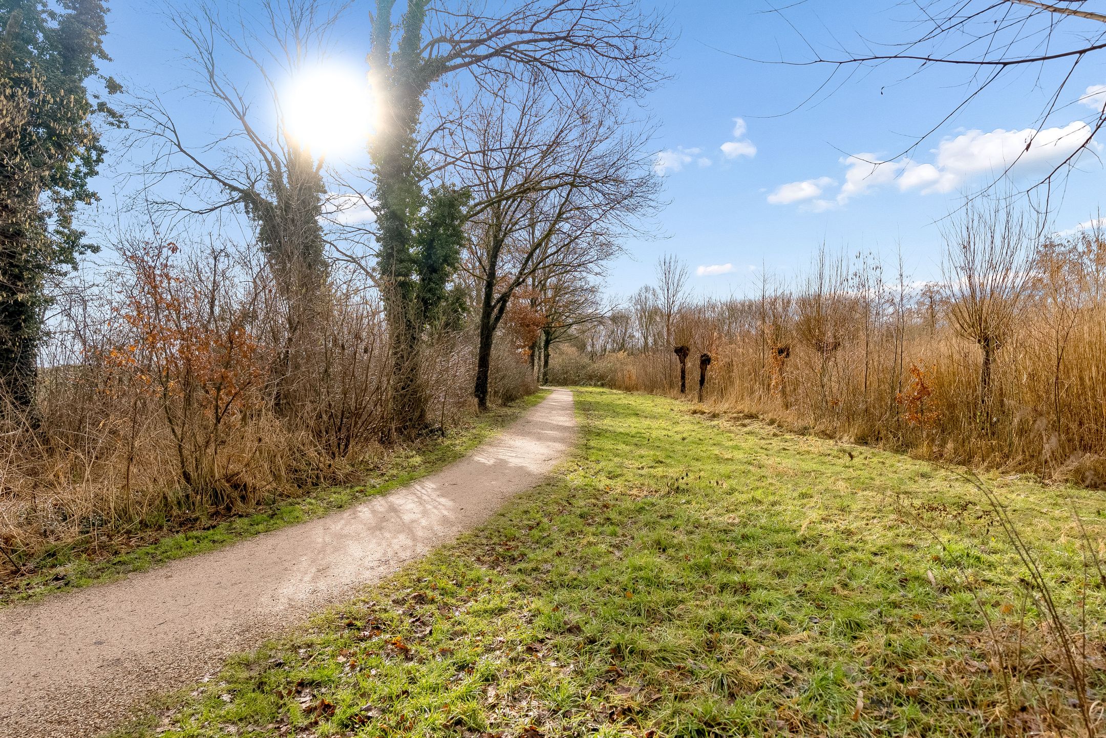 Foto 69 van Hasselt 26