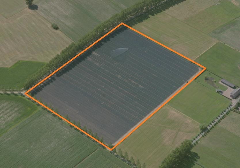Wielekesweg - Lieshout - Afbeelding 1